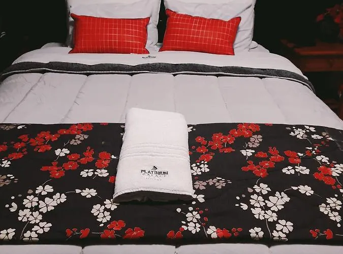 Hotel Platinum Palace
